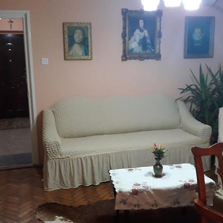 Cozy, Central 1-Bedroom Apartment In Timisoara, Romania Luaran gambar