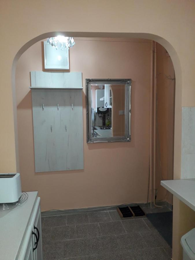 Cozy, Central 1-Bedroom Apartment In Timisoara, Romania Luaran gambar