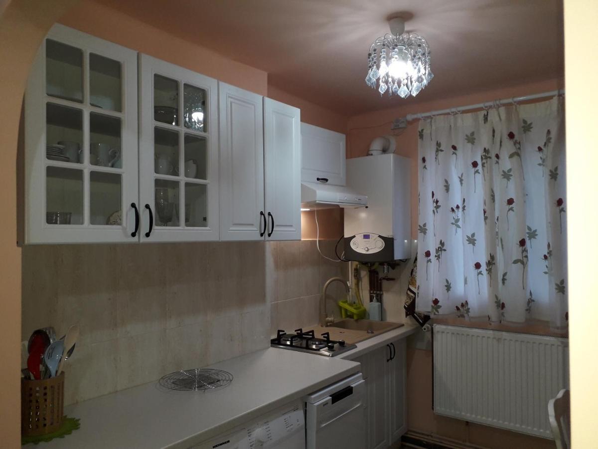 Cozy, Central 1-Bedroom Apartment In Timisoara, Romania Luaran gambar