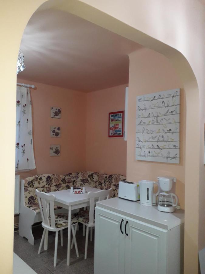 Cozy, Central 1-Bedroom Apartment In Timisoara, Romania Luaran gambar