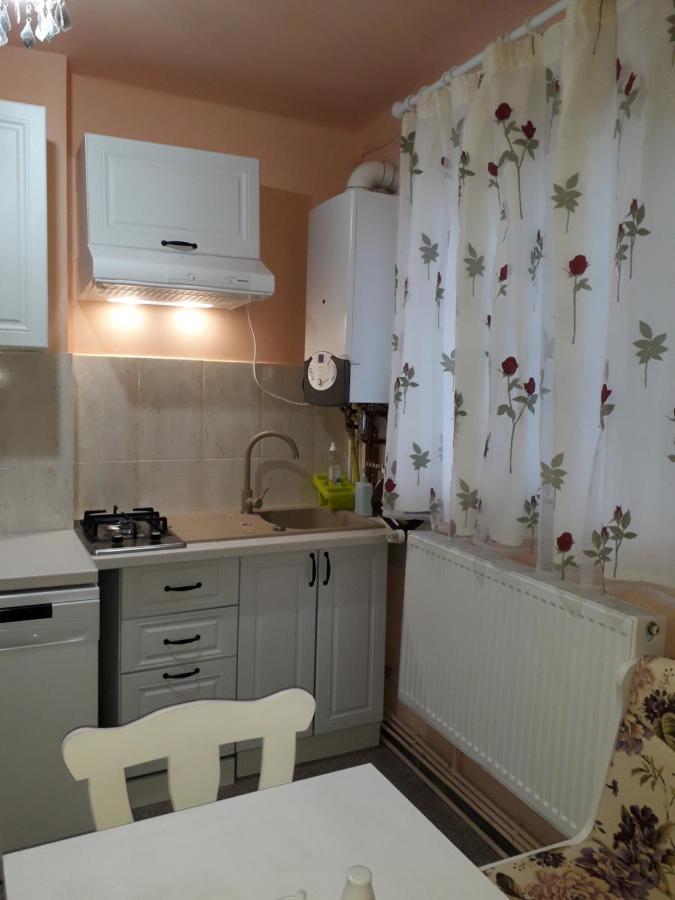 Cozy, Central 1-Bedroom Apartment In Timisoara, Romania Luaran gambar