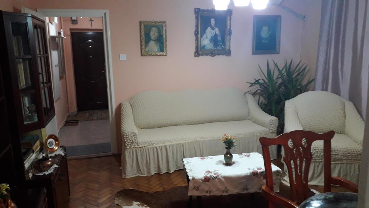 Cozy, Central 1-Bedroom Apartment In Timisoara, Romania Luaran gambar